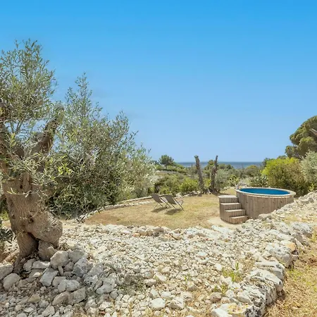 Pajara Dei Mirti